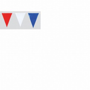 Bunting Red White and Blue 10m