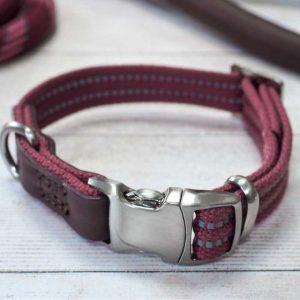 Primo – Burgundy – M – Walkabout Dog Collar (31cm-47cm)
