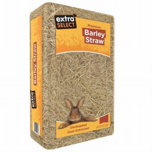 Extra Select Compressed Barley Straw