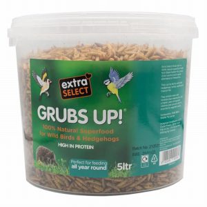 Extra Select Grubs Up! 3 Litres