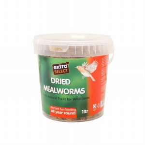 Extra Select Mealworms 500ml Tub