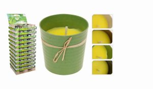 Citronella Candle Eco Friendly