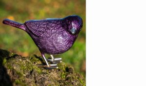Brushed Purple Bird