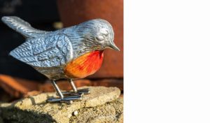 Red Breast Robin