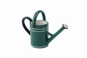 The Potting Shed Ceramic Watering Can Ring Holder