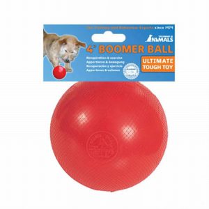 Company Of Animals Boomer Ball 10cm