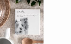 Border Collie Dog Ceramic Coaster