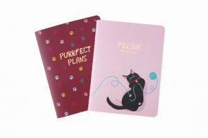Cool Cat ‘Feline Productive’ Set Of 2 Notebooks