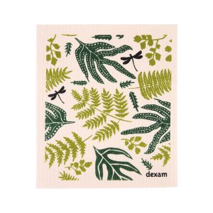 Swedish Dishcloth Fern