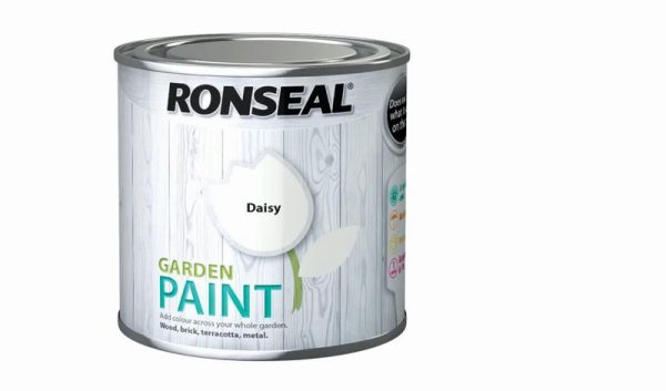 ron garden paint daisy