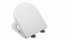 Eyre D Shaped Toilet Seat WL601522H