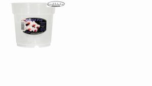 Orchid Pot Clear 15cm POCL15M