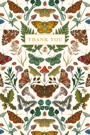 Thank You Note Cards Butterflies