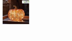 Inlit Golden Pumpkin 14cm x 17cm