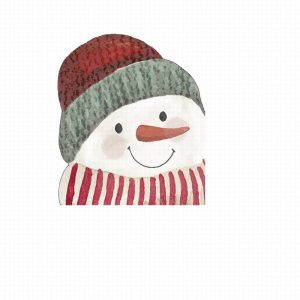 IHR Happy Snowman Shaped Lunch Napkins x12