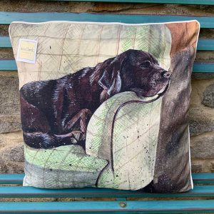 Buddy Cushion