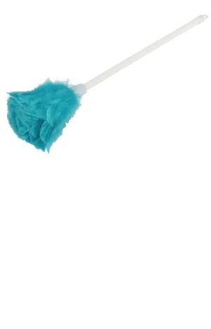 Feather Duster 23inCH