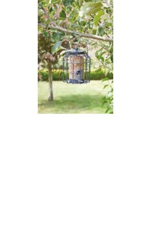 Squirrel Proof Compact Seed Feeder