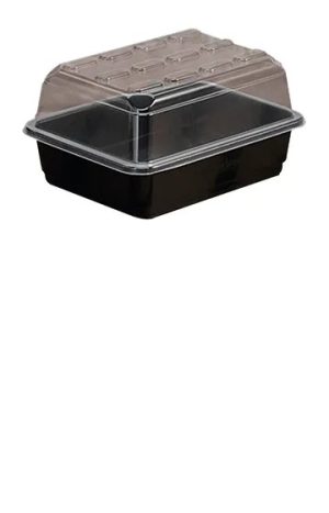 Budget Propagator + Holes Small