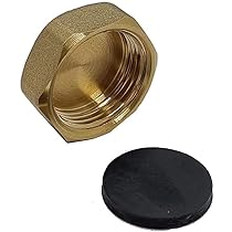 VEMCO BLANKING NUT 3/4IN BRASS