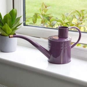 Home and Balcony Watering Can, Violet