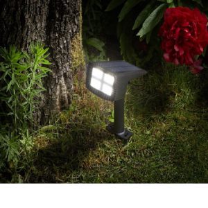 Revo 50L Spotlight,