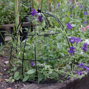 Beehive Plant Support 45cm