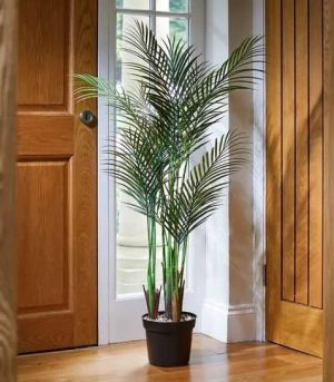 Phoenix Palm Tree 124cm 5607005
