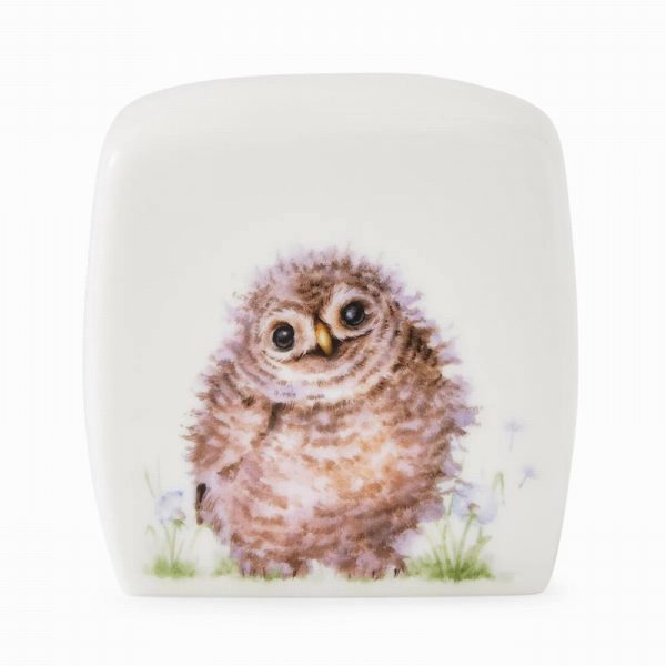 wrendale little wren money box