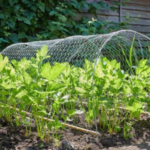 Galvanised Wire Netting, 25mm, 1x5m