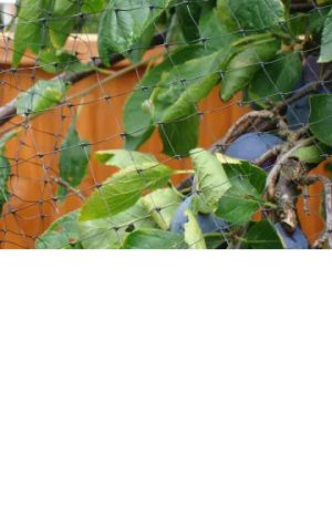 Fruit Cage Net 16m x 2m