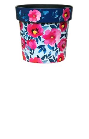 Indoor Plant Pot Pink Poppies 15cm