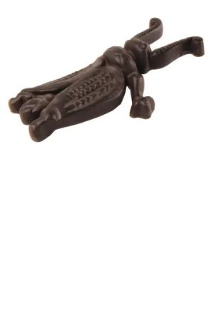 Beetle Boot Jack