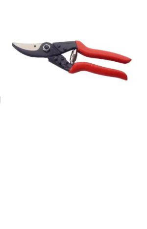 No:5 Secateur Economy