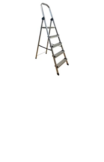 24556.jpg