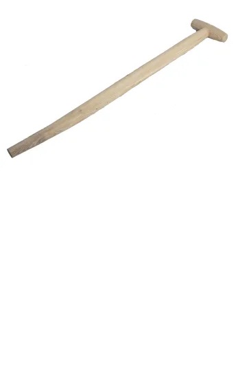 24565.jpg