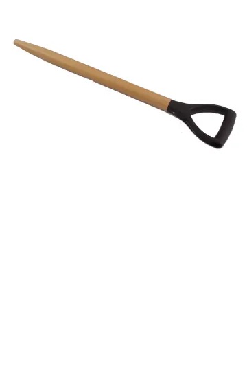 24566.jpg