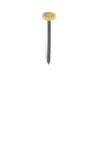 Brass Headed Picture Pin x 4