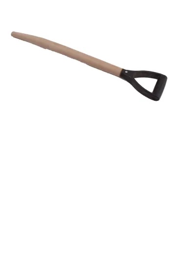 25182.jpg