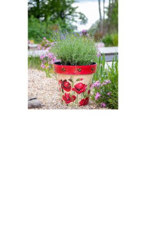 Zest Pot Poppies & Bees 40cm