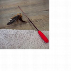 Telescopic Tickle Stick