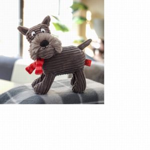 Hamish PlayPal
