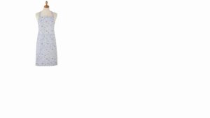 Apron Coastal Bird