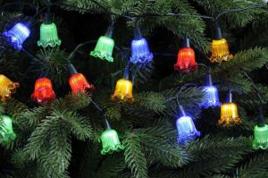 Multi Colour Petal Lights x20