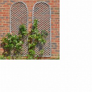 Heavy Duty Framed Willow Trellis Round 1.8×0.60m