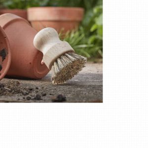 Pot & Tool Brush, FSC1