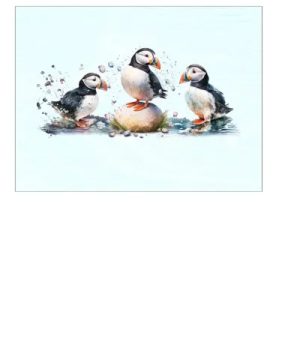 Placemats x 6 Playful Puffins