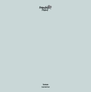 Frenchic Iceman Peel & Stick Paint Sample