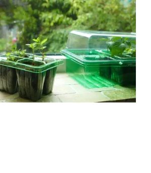 Gro-Sure Visiroot Window Propagator Set