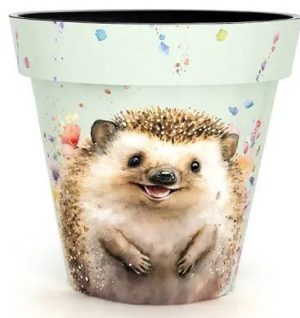 Zest Pot Watercolour Hedgehog 40cm